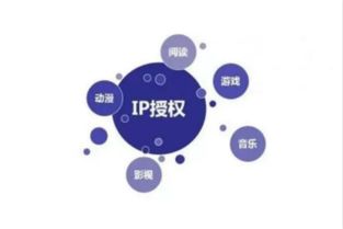 《新疆味道》 一部紀(jì)錄片的網(wǎng)絡(luò)文化創(chuàng)作與市場(chǎng)運(yùn)營之道